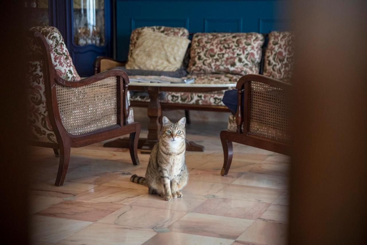 La Bellevue Breville - B&B Eksteriør billede